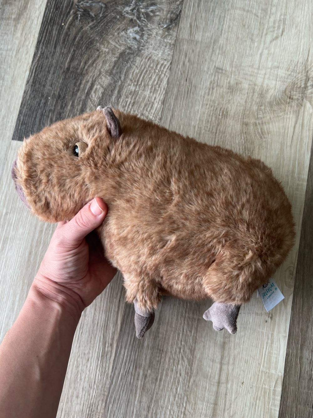 Jellycat Clyde Capybara - Picture 8 of 11